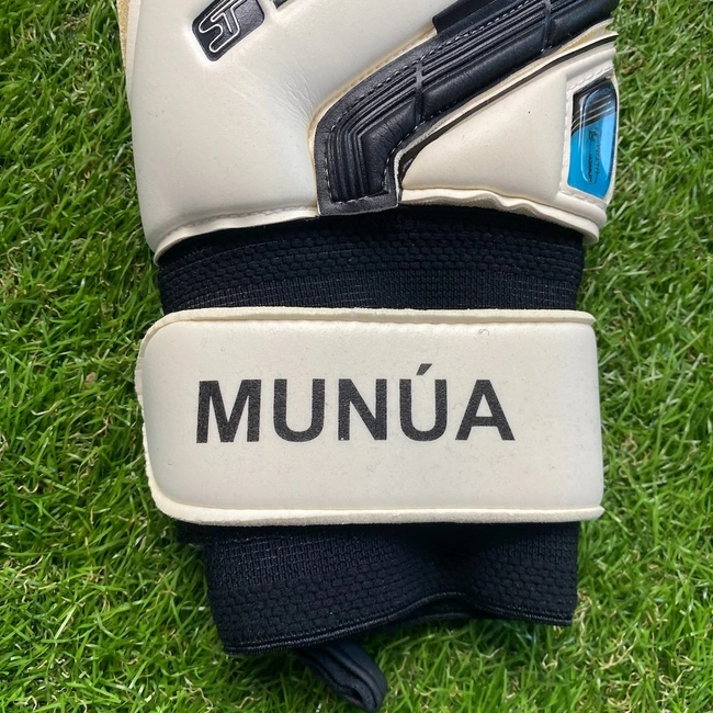 cover image of the auction item