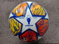 cover image of the auction item