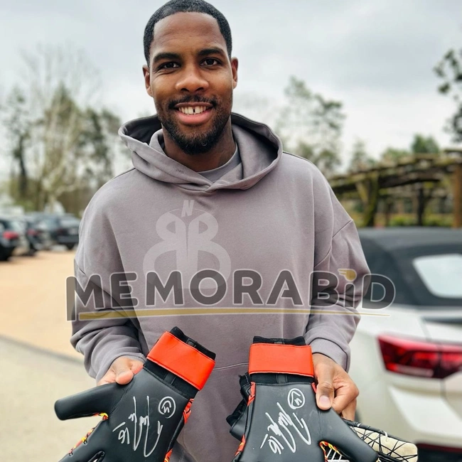 cover image of the auction item