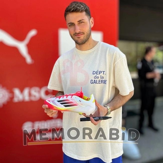 cover image of the auction item