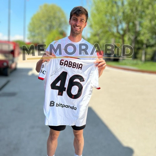 cover image of the auction item