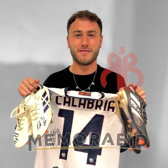 cover image of the auction item