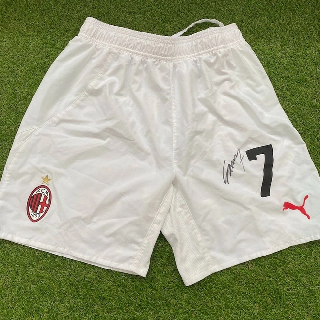 cover image of the auction item