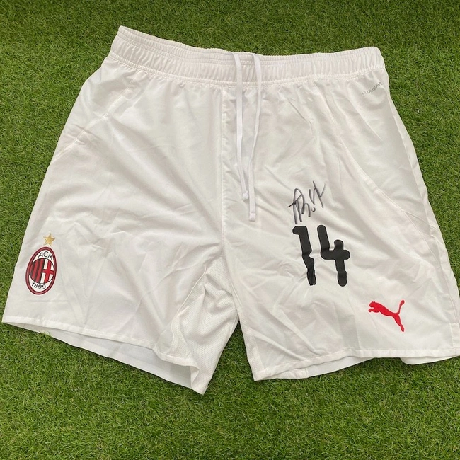 cover image of the auction item