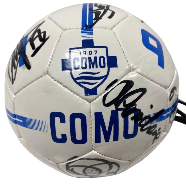 cover image of the auction item