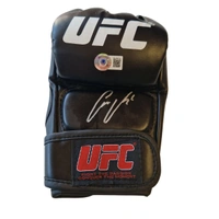 cover image of the auction item