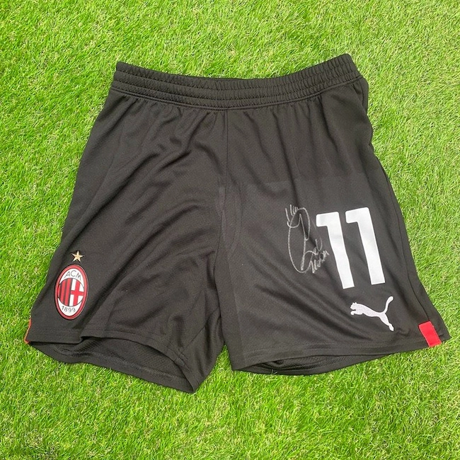 cover image of the auction item