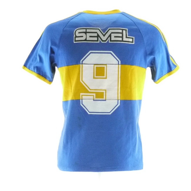 cover of the auction item