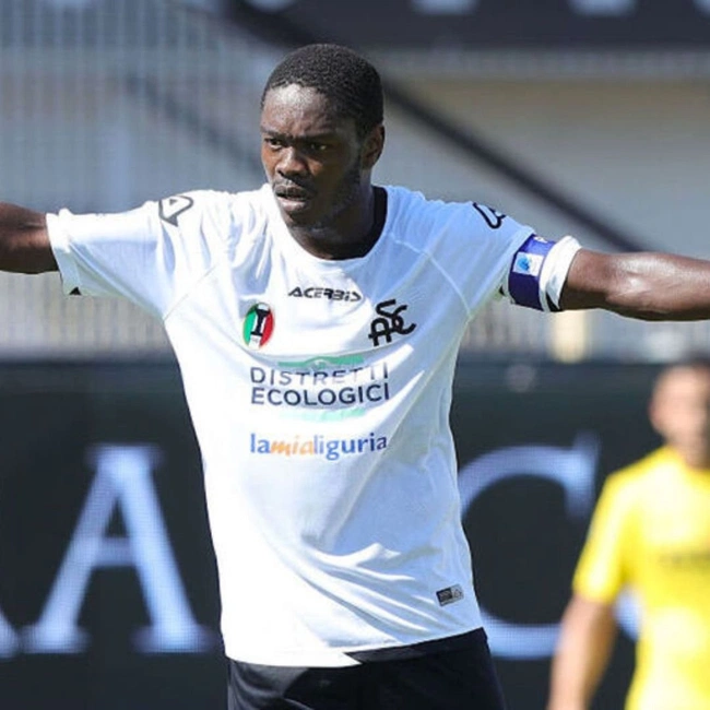 cover image of the auction item