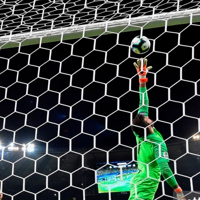 cover of the auction item