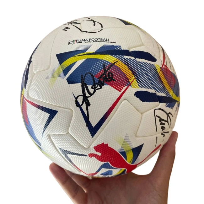 cover image of the auction item