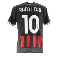cover image of the auction item