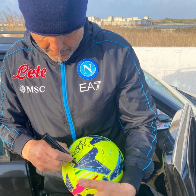 cover image of the auction item