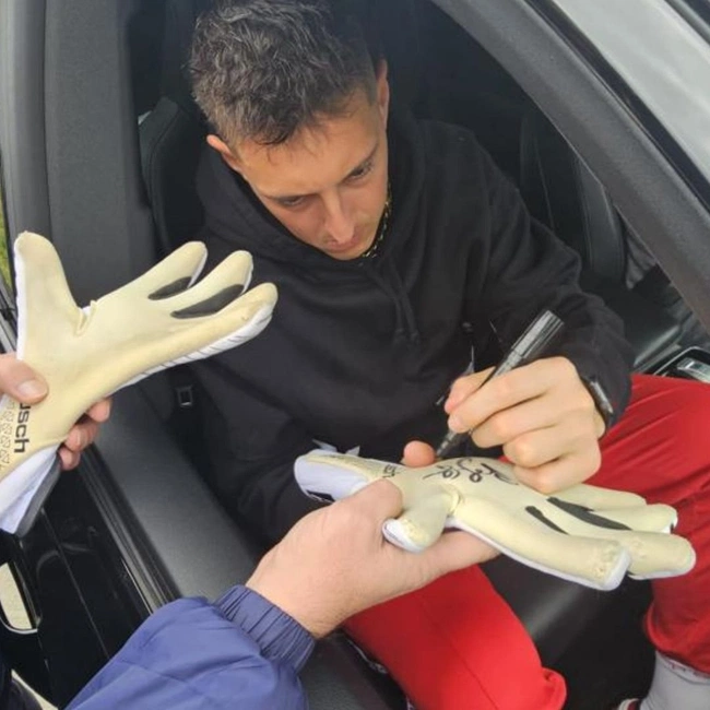 cover image of the auction item