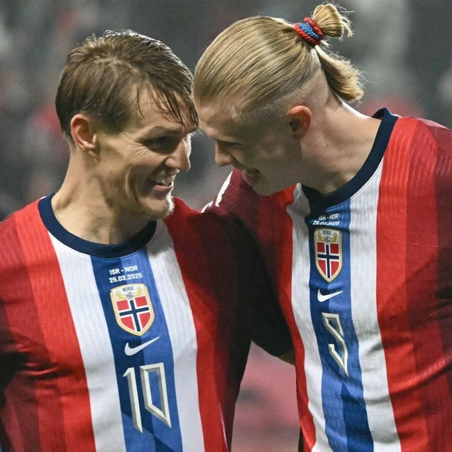 cover of the auction item