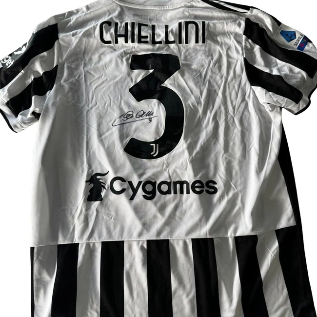 cover image of the auction item