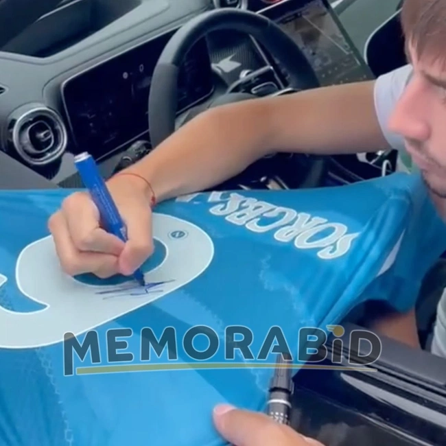 cover image of the auction item