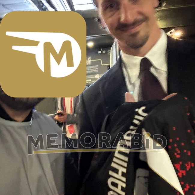 cover image of the auction item