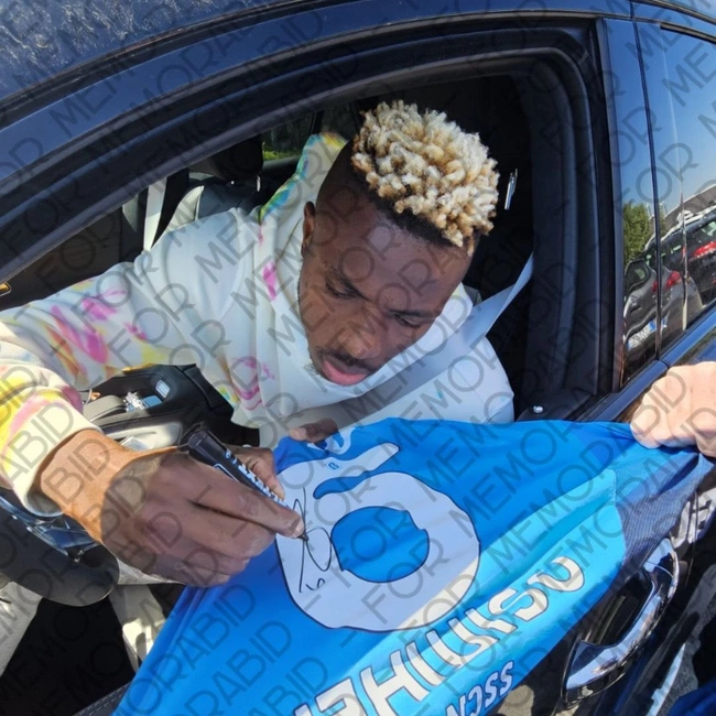 cover image of the auction item