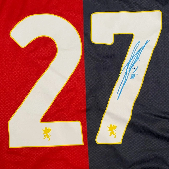 cover image of the auction item