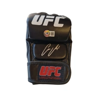 cover image of the auction item