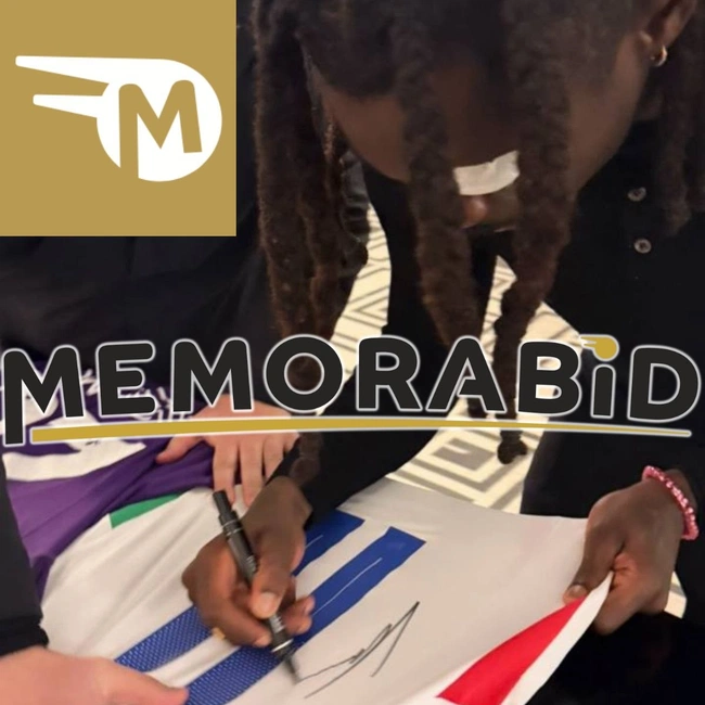 cover image of the auction item