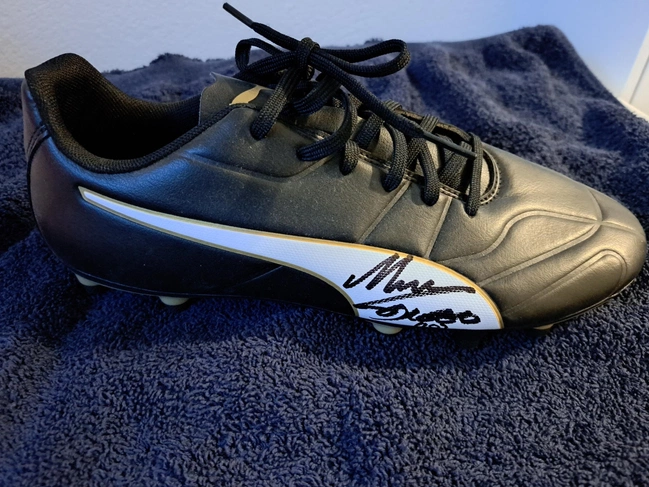 cover image of the auction item