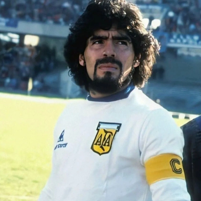 cover image of the auction item