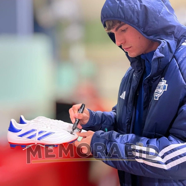 cover image of the auction item