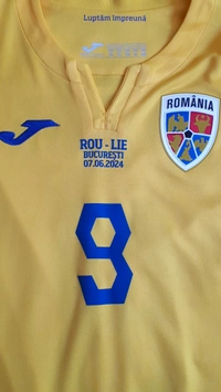 cover image of the auction item