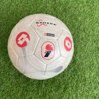 cover image of the auction item