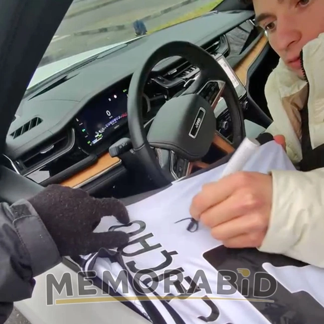 cover image of the auction item