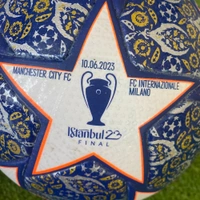 cover image of the auction item