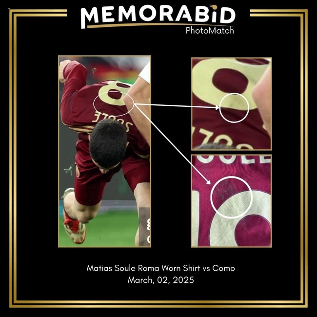 cover image of the auction item