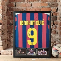 cover image of the auction item