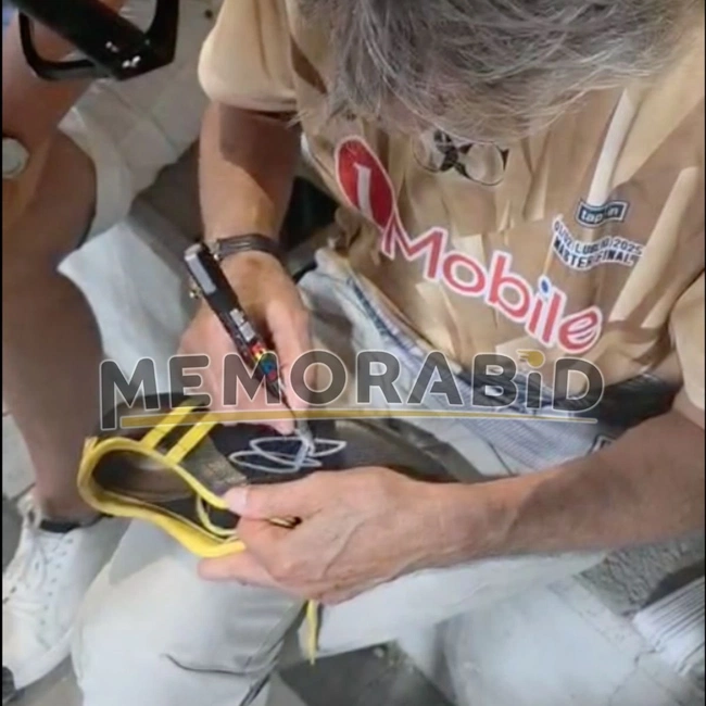 cover image of the auction item