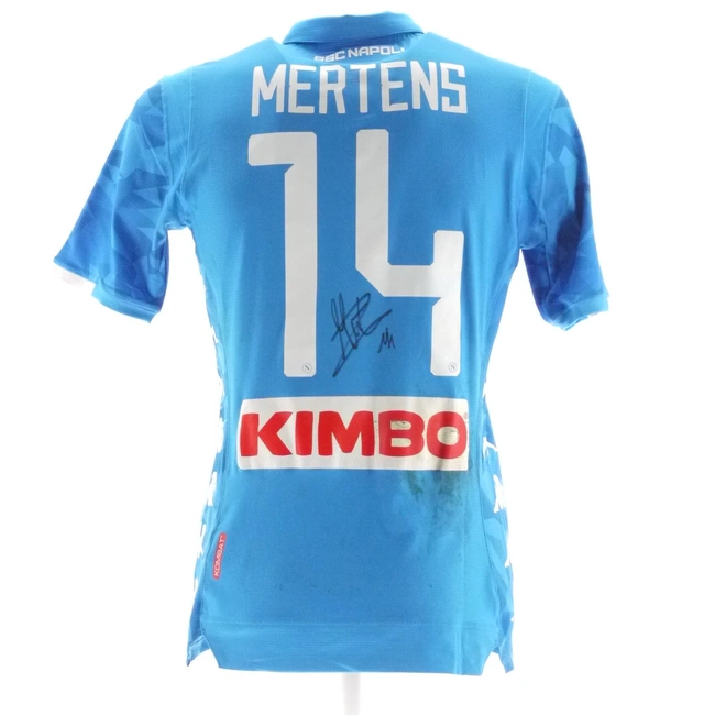 cover image of the auction item