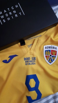 cover image of the auction item