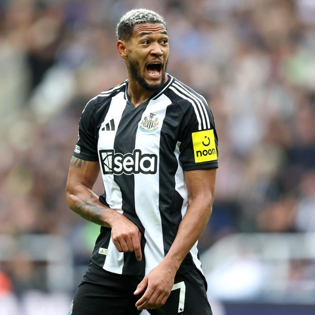 cover image of the auction item