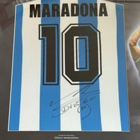 cover image of the auction item