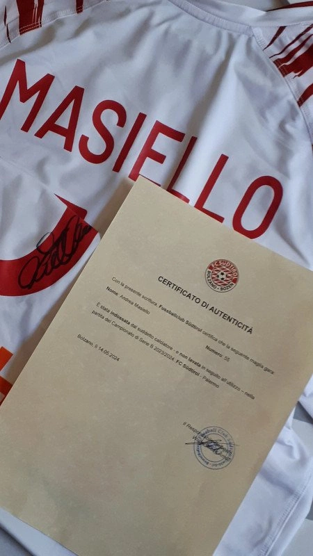 cover image of the auction item