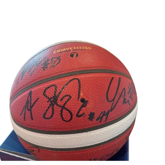 cover of the auction item