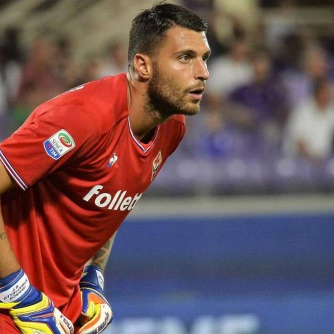 cover image of the auction item