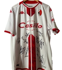 cover image of the auction item