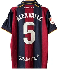 cover image of the auction item