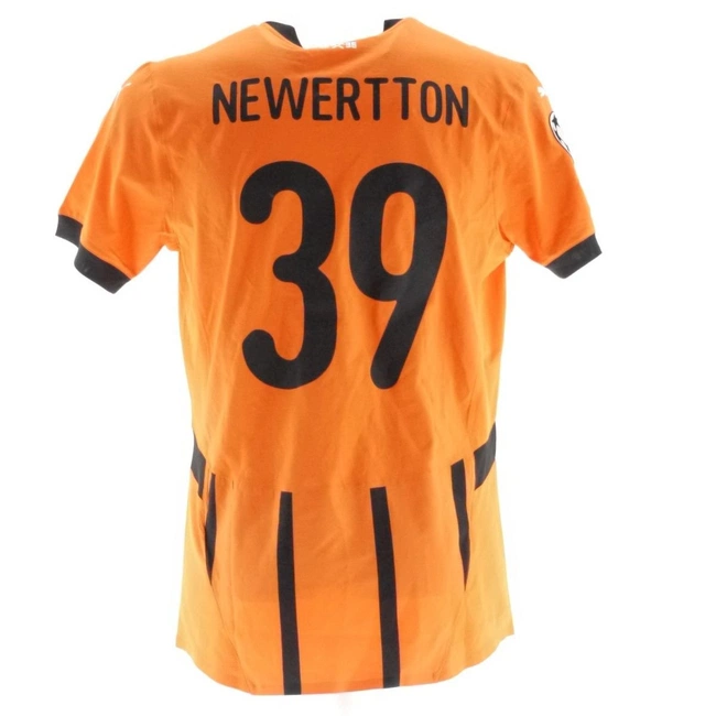 cover image of the auction item