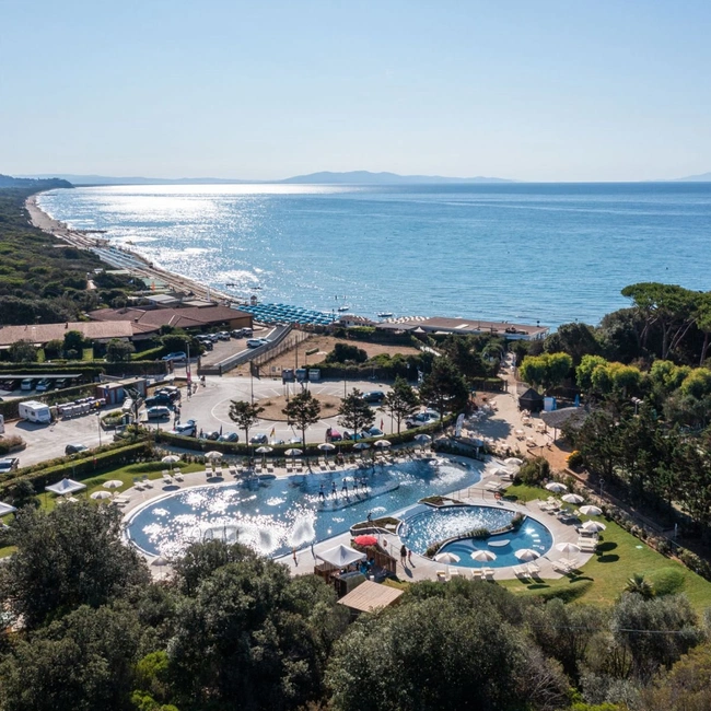 cover of the auction item