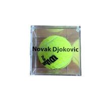 cover image of the auction item