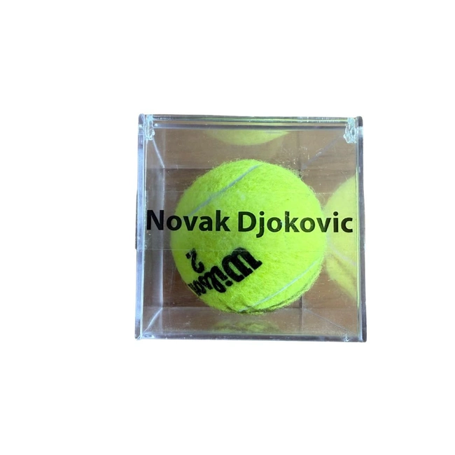 cover of the auction item