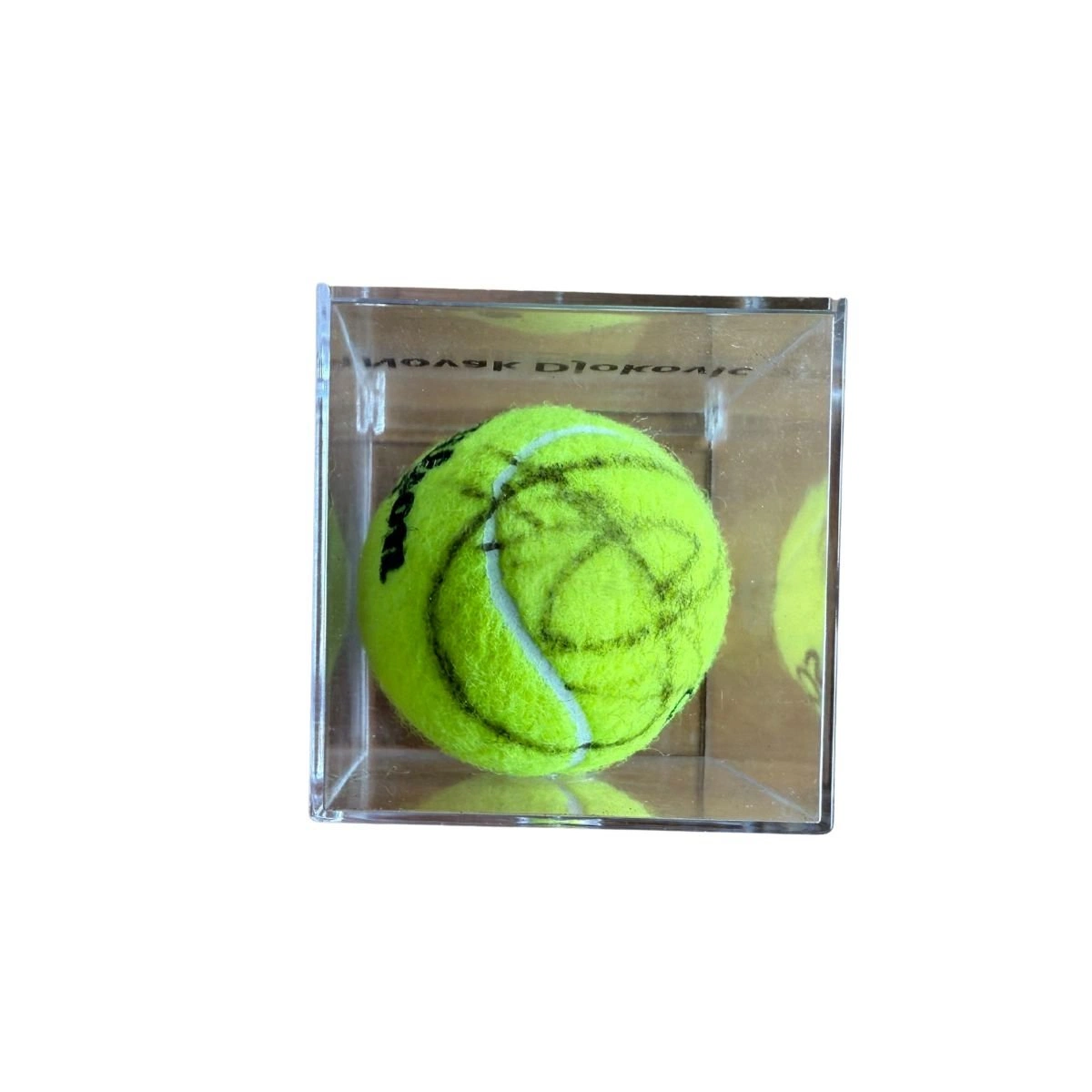 La pallina da tennis firmata da Novak Djokovic